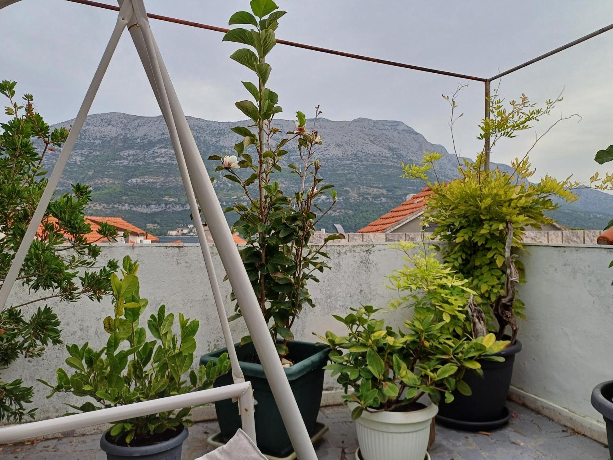 Guest House Jungher 科尔丘拉 外观 照片