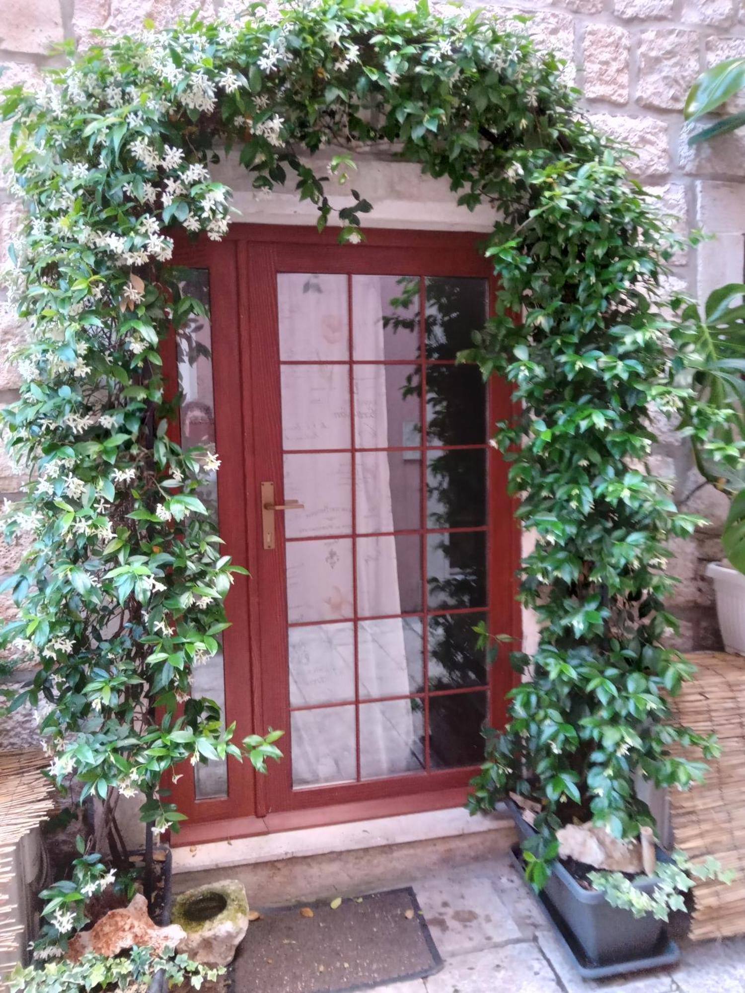 Guest House Jungher 科尔丘拉 外观 照片
