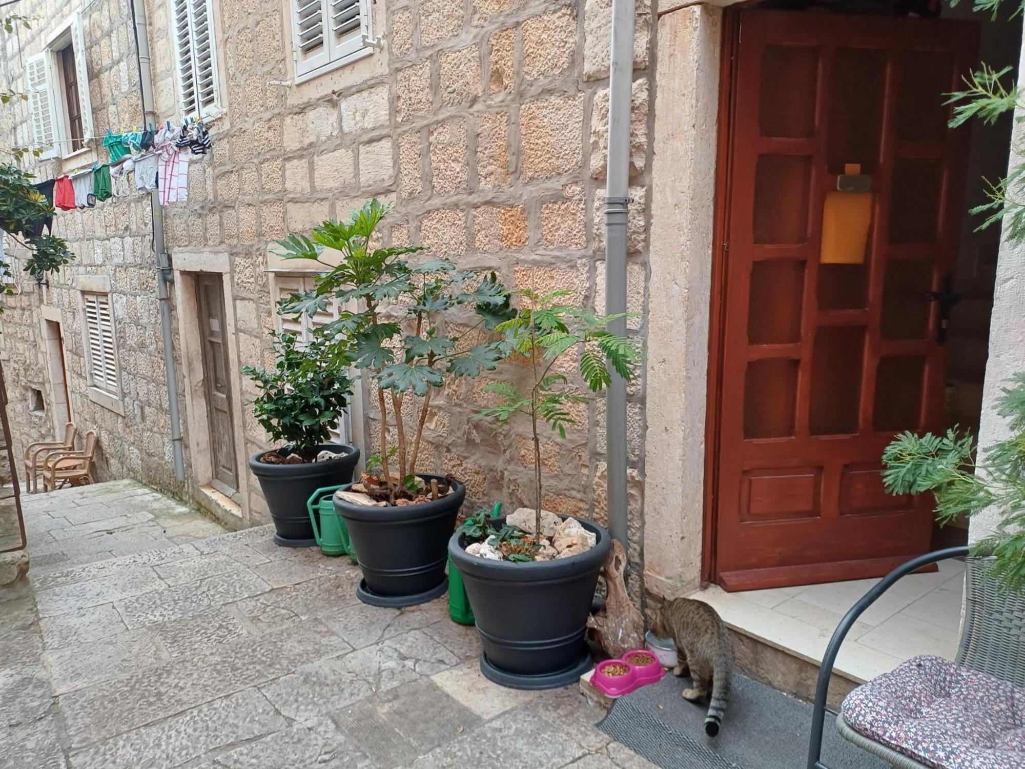 Guest House Jungher 科尔丘拉 外观 照片