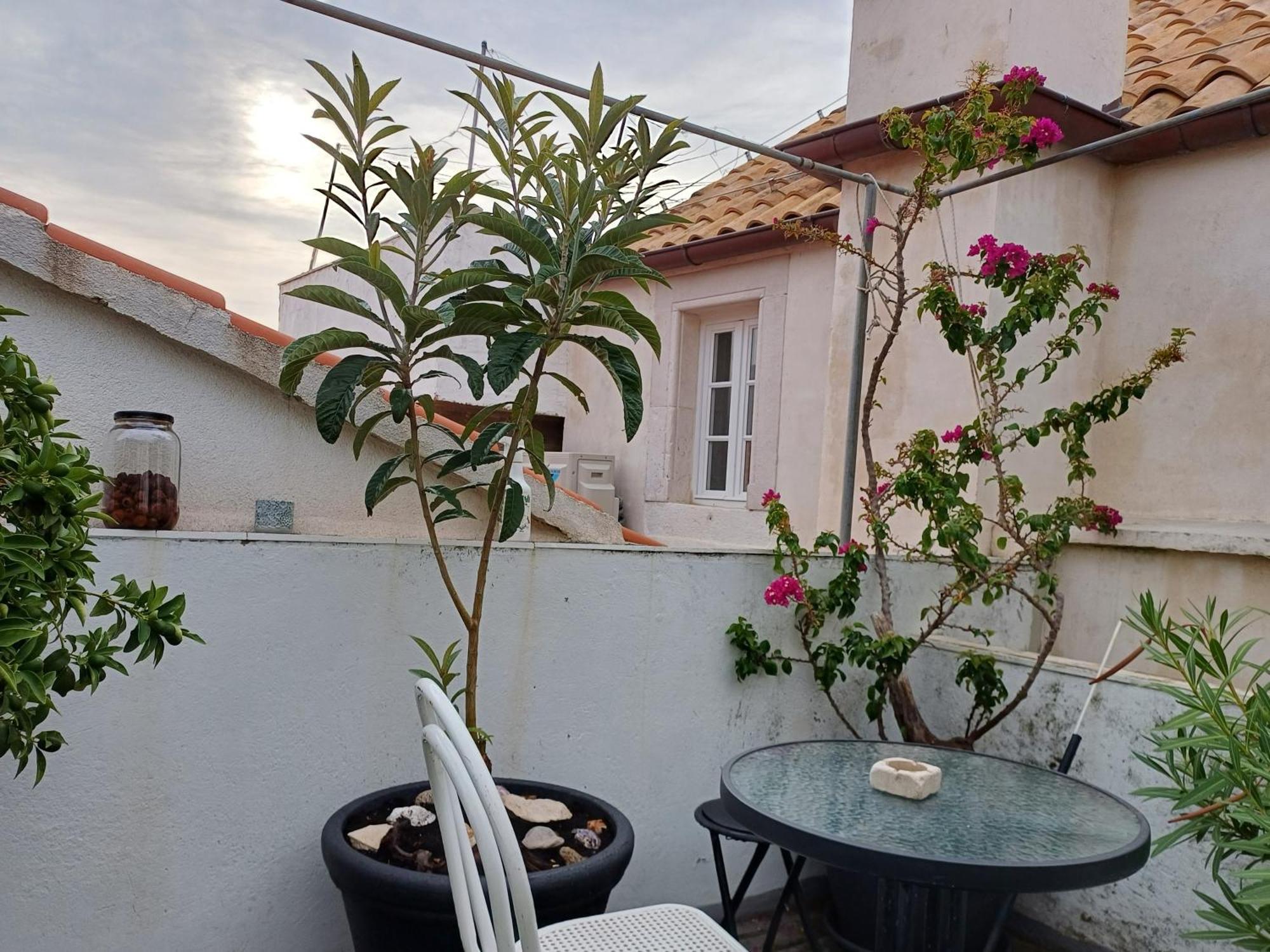 Guest House Jungher 科尔丘拉 外观 照片